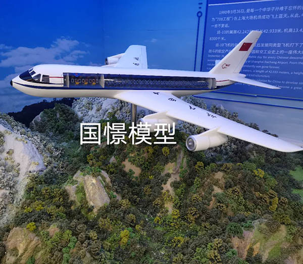 府谷县飞机模型