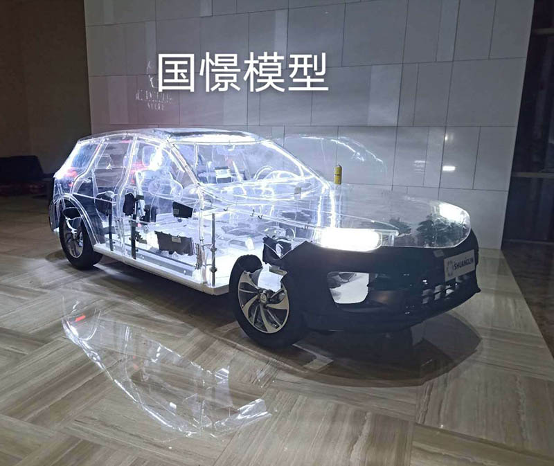 府谷县透明车模型